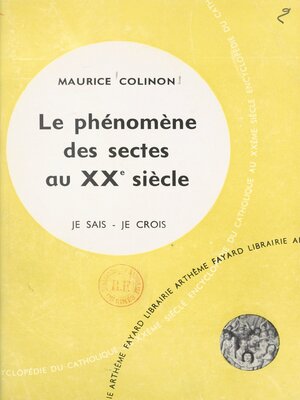 cover image of Frères séparés (13)